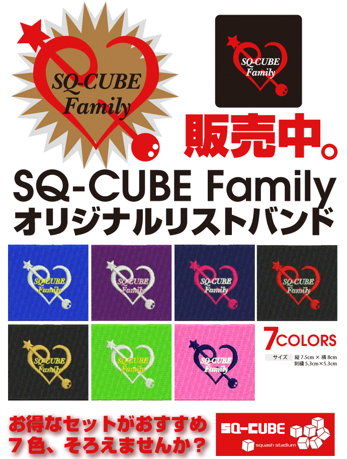 2013SQ-CUBE Family IWiXgoh